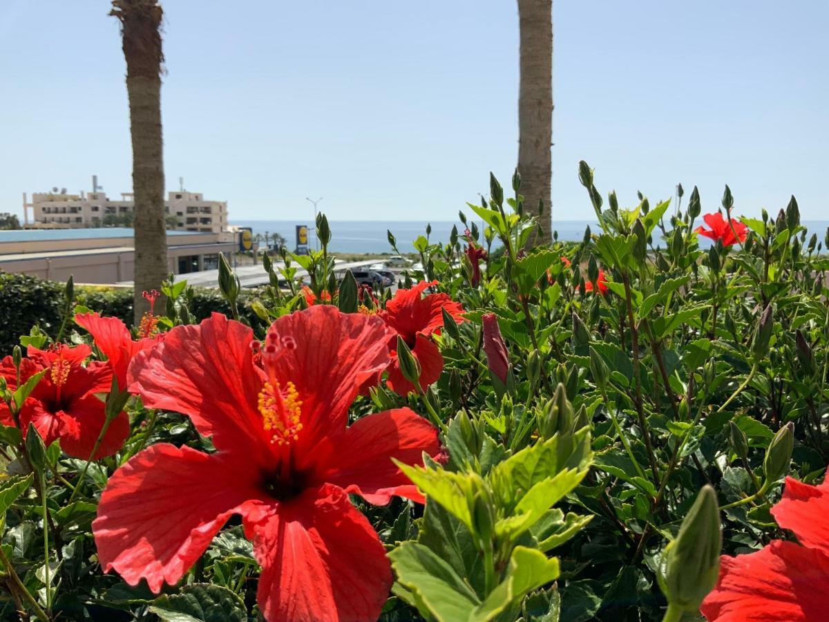 Kings Palace Indigo 109 Paphos Bagian luar foto